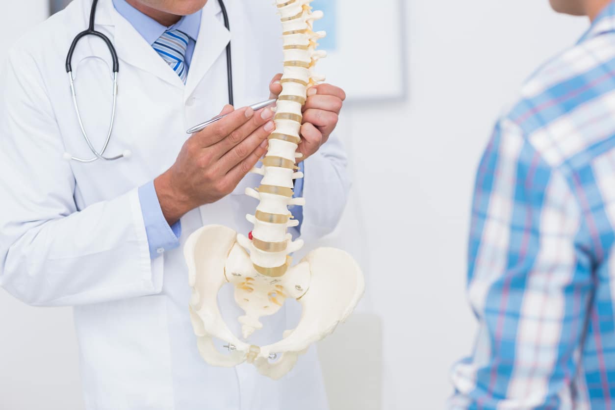 doctor holding spinal column
